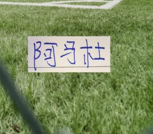 金年会体育,资讯,金年会,金年会,金年会体育,JinNianHui,金年会体育官网
